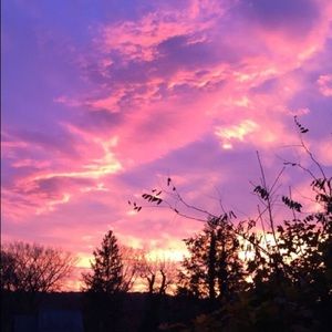 Meet your Posher, Carol